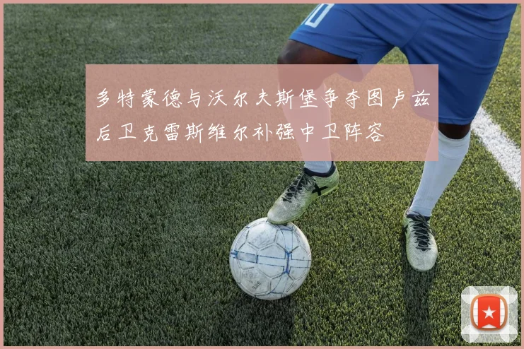 多特蒙德与沃尔夫斯堡争夺图卢兹后卫克雷斯维尔补强中卫阵容